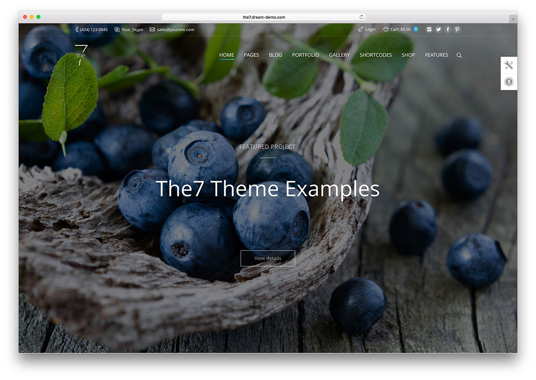 the7-theme-examples