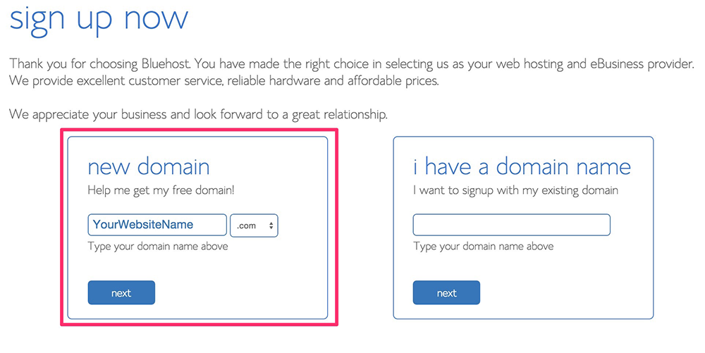 bluehost - choose your website name